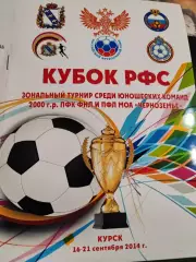 Кубок РФС зональный турнир среди юношеских команд 2000 г.р. Курск 2014