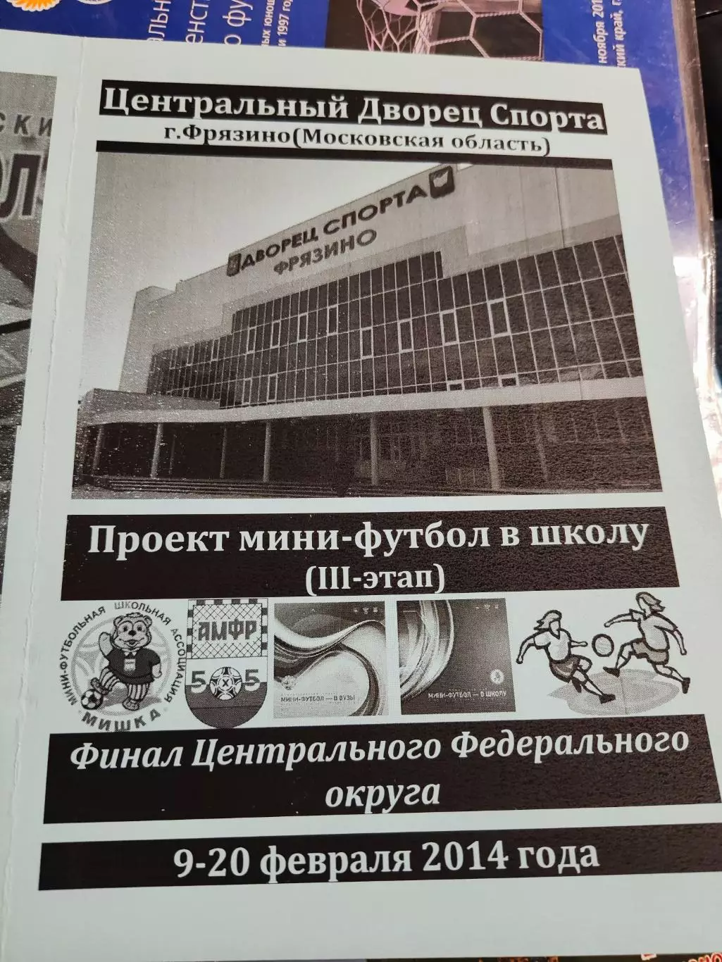 Фрязино 2014 турнир мини-футбол в школу 3-й этап финал ЦФО / авторская