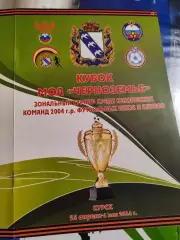 Кубок МОА Черноземье зональный турнир среди юношеских команд 2004г. Курск 2014