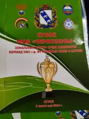 Кубок МОА Черноземье зональный турнир среди юношеских команд 2001г. Курск 2014