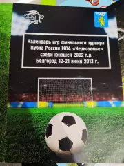Календарь игр финального турнира Кубка России МОА Черноземье среди юношей 2002