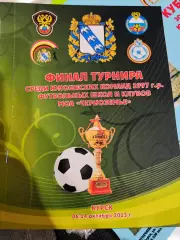 Финал турнира МОА Черноземье , юноши 1997 г.р. Курск 2013
