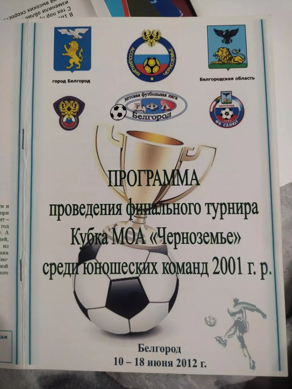 Программа финального турнира кубка МОА Черноземье 2001 г.р