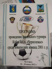 Программа финального турнира кубка МОА Черноземье 2001 г.р