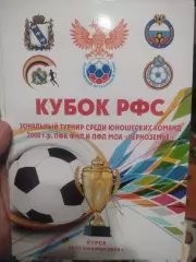 Кубок РФС зональный турнир среди юношеских команд 2000г, Черноземье Курск 2014