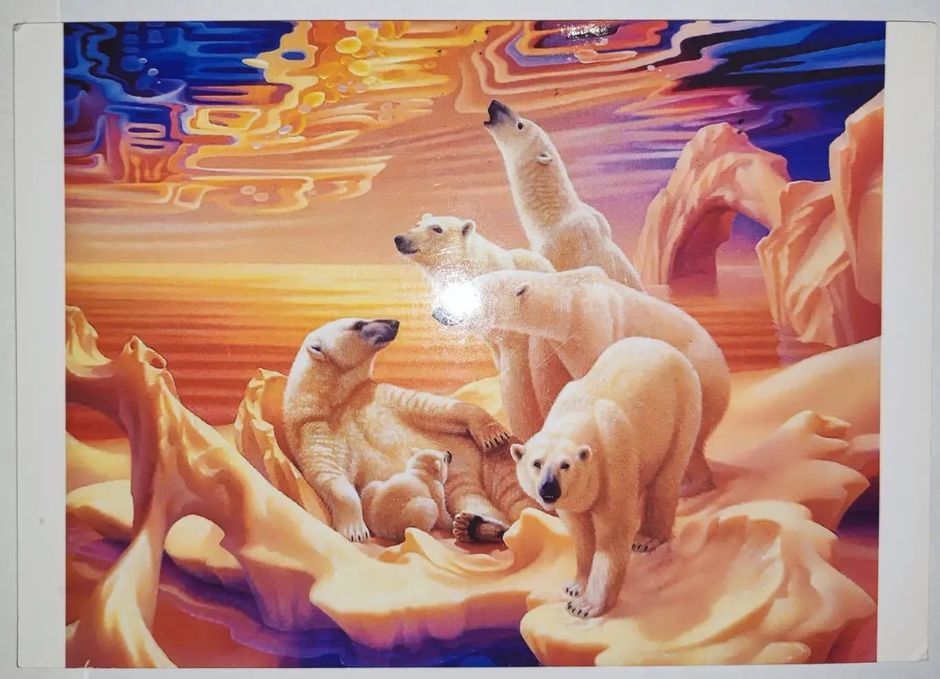 Открытка почтовая - Белые медведи, прошла почту