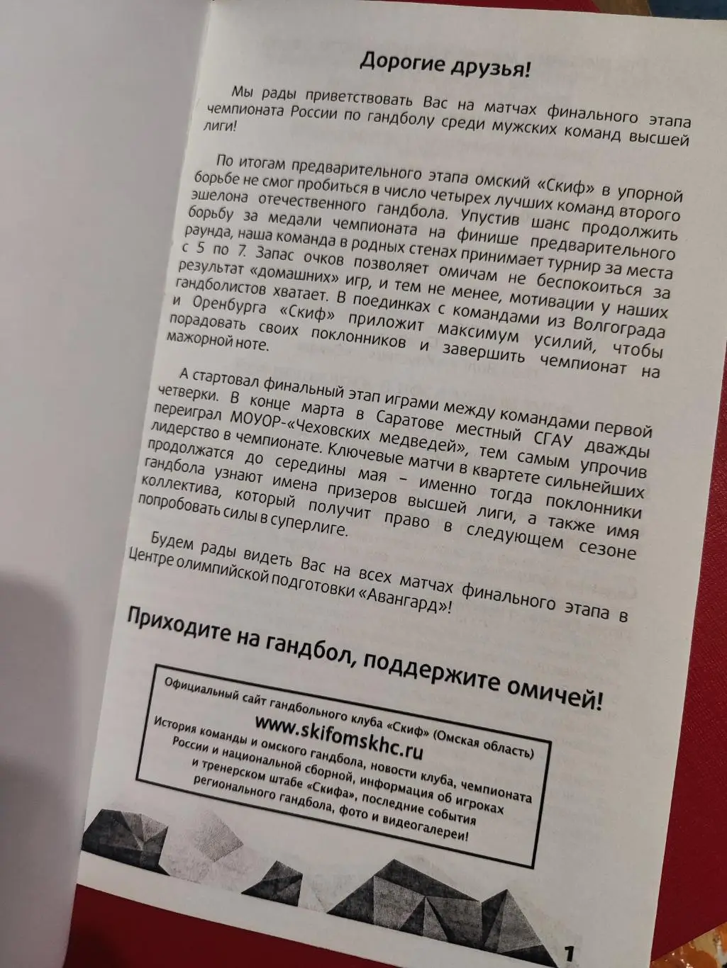 Чемпионат России по Гандболу 2014 1