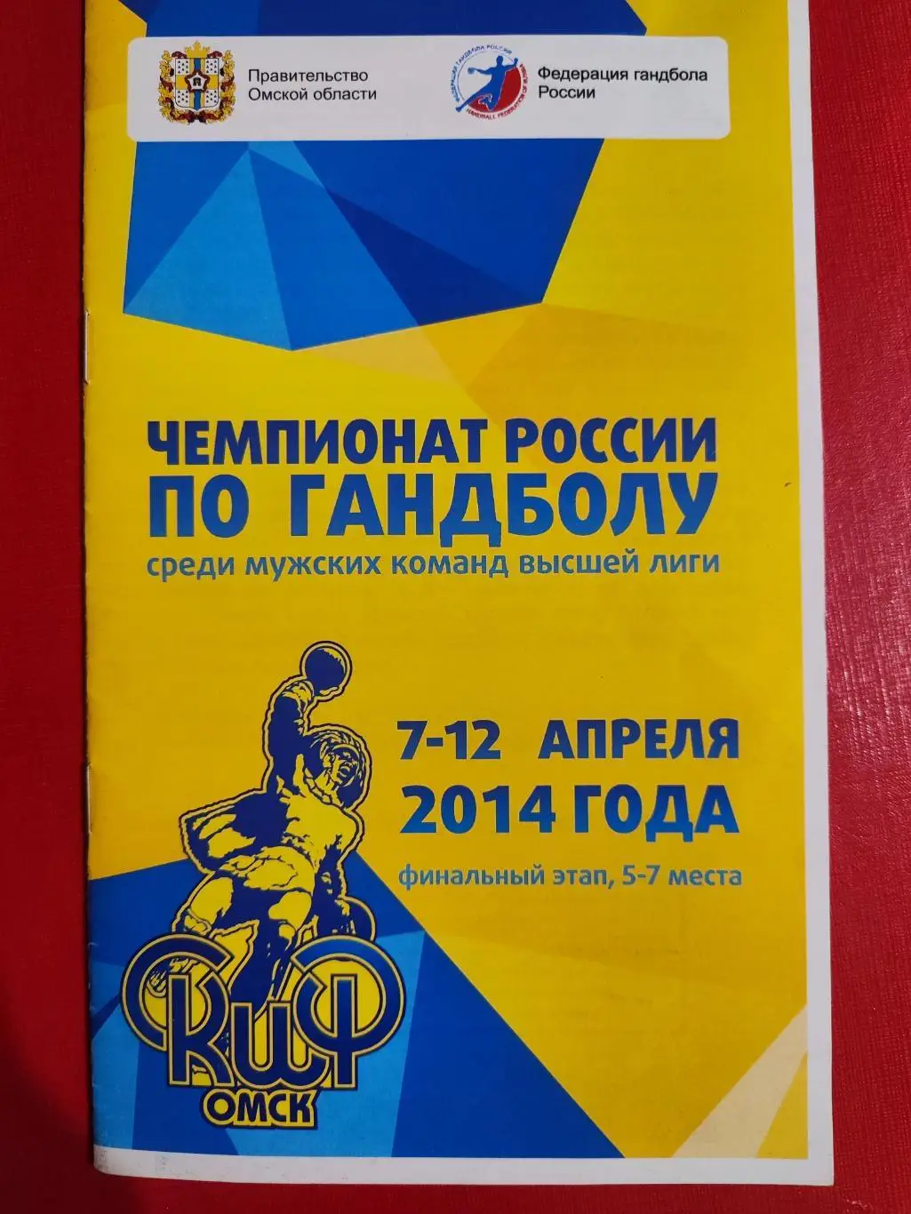 Чемпионат России по Гандболу 2014