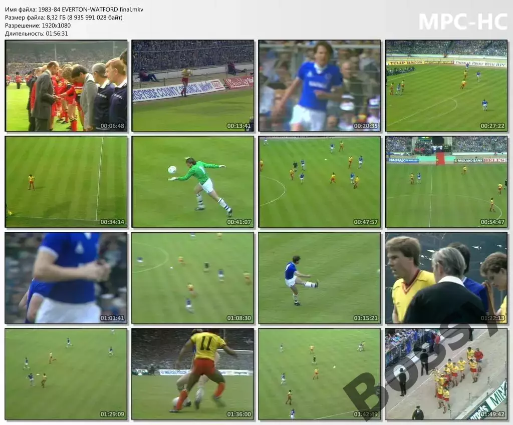Финал Кубка Англии 1984 (19.05.1984) Эвертон - Уотфорд (mkv; hd)
