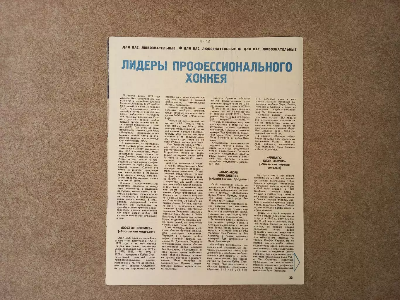 Лидеры профессионального хоккея 1973