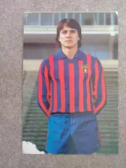 Стойка Румыния