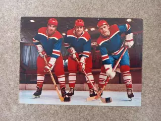 Михайлов Петров Харламов