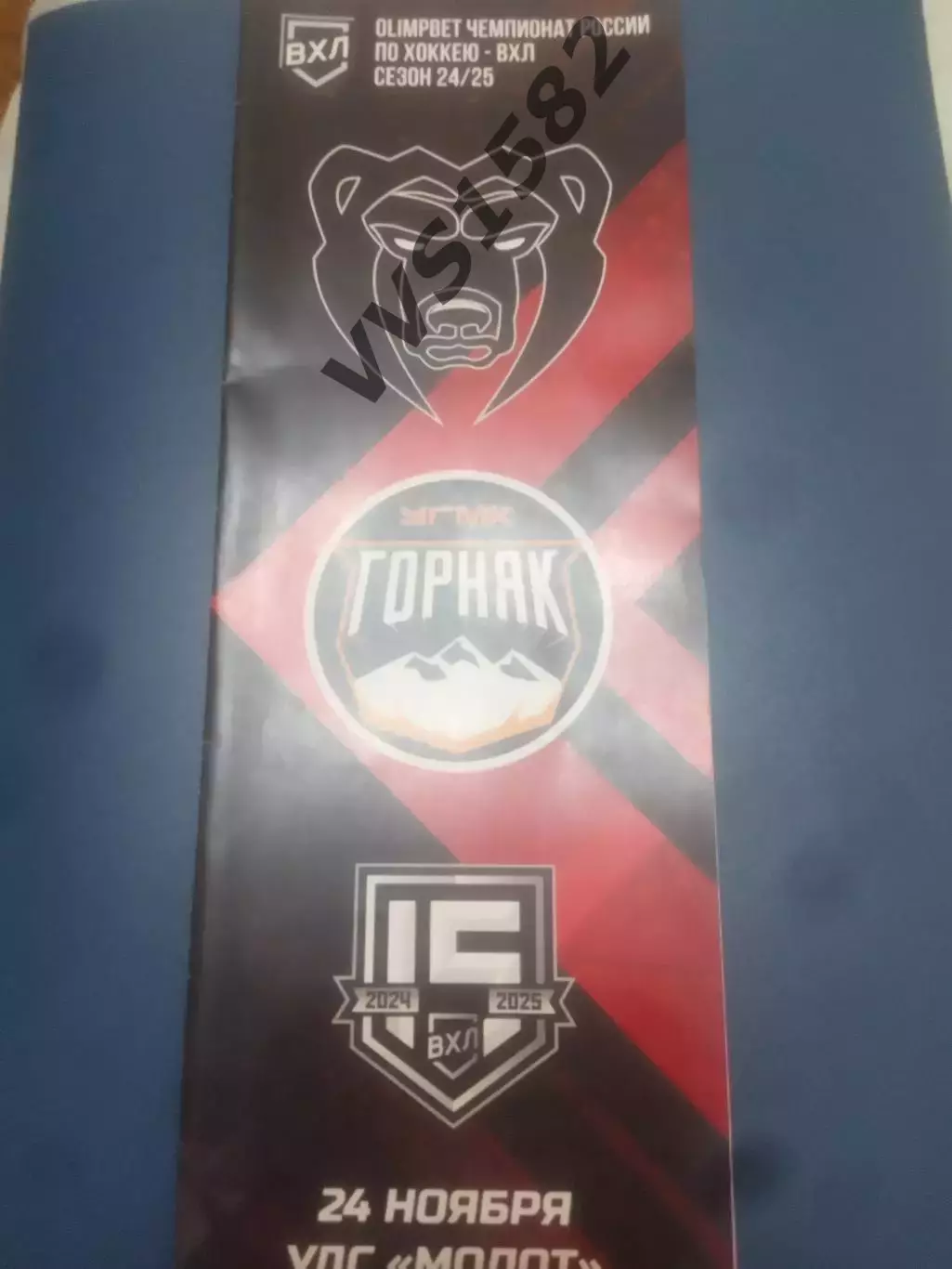 МОЛОТ (Пермь) - ГОРНЯК-УГМК (Верхняя Пышма) 24.11.2024.ВХЛ.