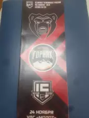 МОЛОТ (Пермь) - ГОРНЯК-УГМК (Верхняя Пышма) 24.11.2024.ВХЛ.