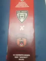 МОЛОТ (Пермь) - КУЗНЕЦКИЕ МЕДВЕДИ (Новокузнецк) 14.11.2025. МХЛ.