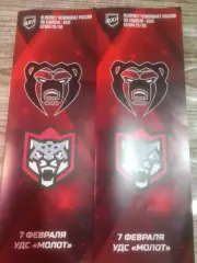 МОЛОТ (Пермь) - БАРС (Казань) 07.02.2026. ВХЛ.