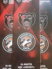 МОЛОТ (Пермь) - ЮЖНЫЙ УРАЛ (Орск) 14.03.2026. ВХЛ.