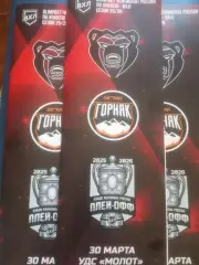 МОЛОТ (Пермь) - ГОРНЯК-УГМК (Верхняя Пышма) 30.03.2026. ВХЛ. Плей-офф. Матч #4.