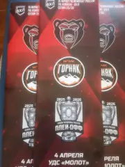 МОЛОТ (Пермь) - ГОРНЯК-УГМК (Верхняя Пышма) 04.04.2026. ВХЛ. Плей-офф. Матч #6.