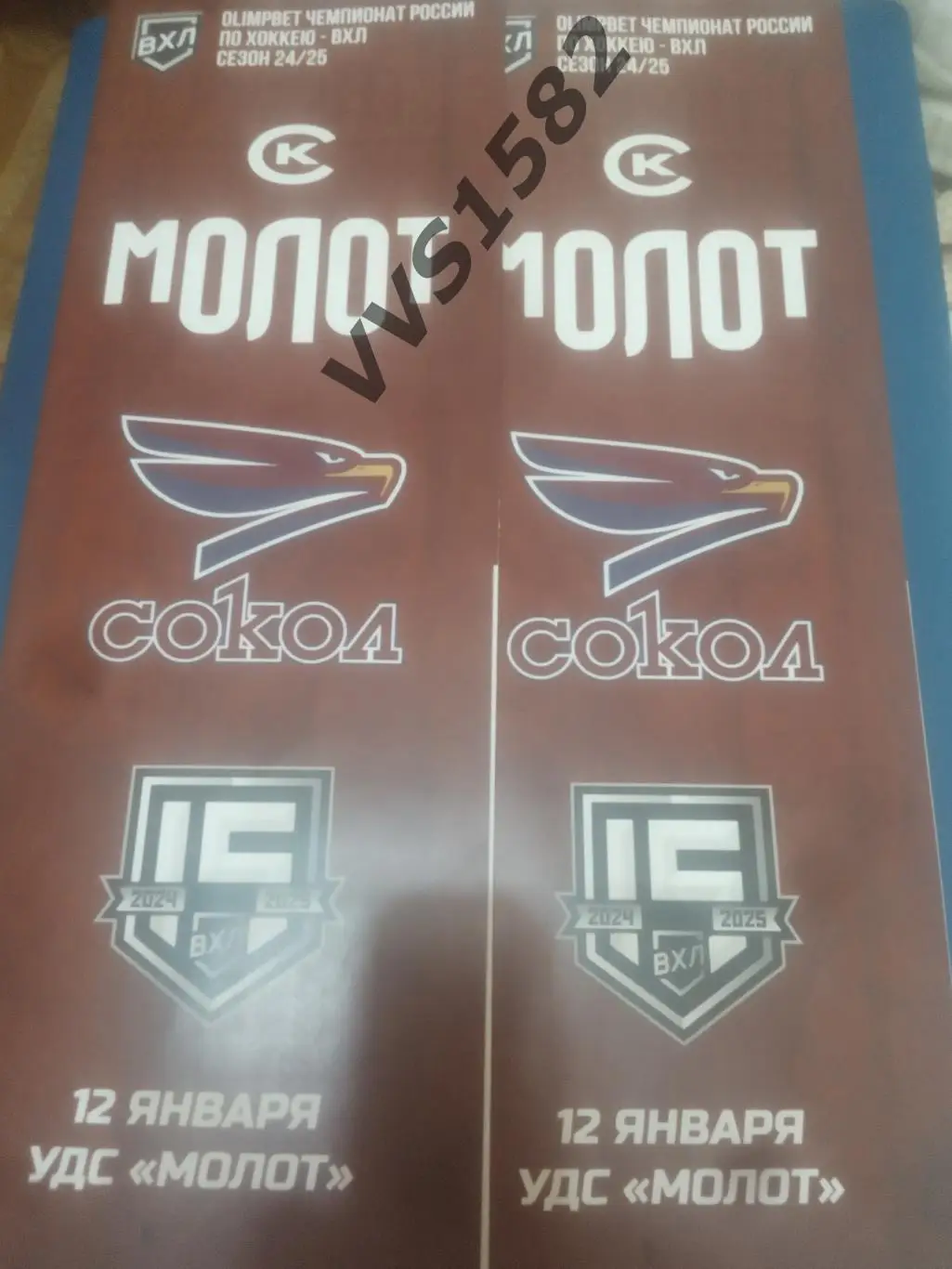 МОЛОТ (Пермь) - СОКОЛ (Красноярск) 12.01.2025. ВХЛ.