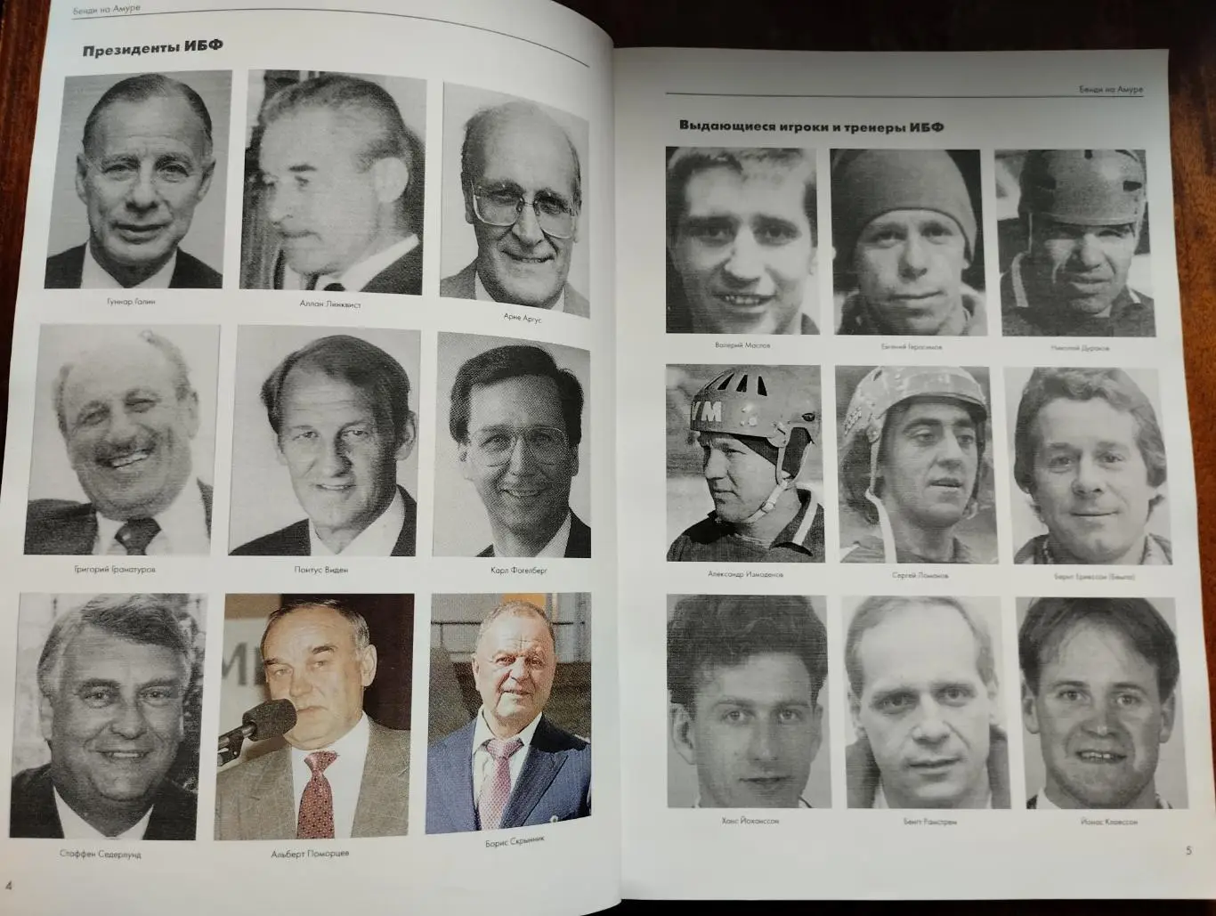 Бэнди на Амуре 2