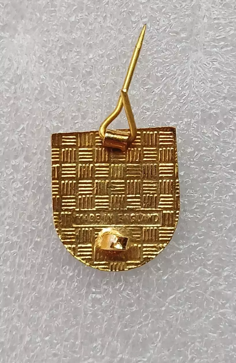 ФК Норвич сити 1