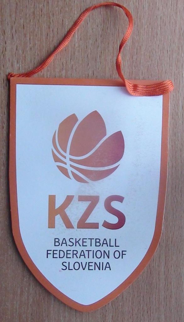 Федерация баскетбола Словении 1