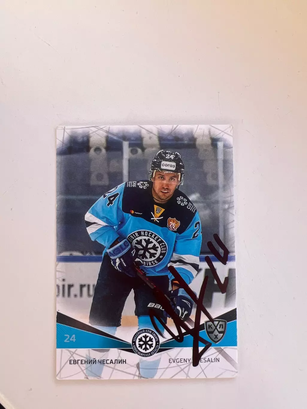 Евгений Чесалин Сибирь