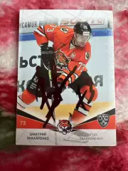 Дмитрий Знахаренко Амур КХЛ