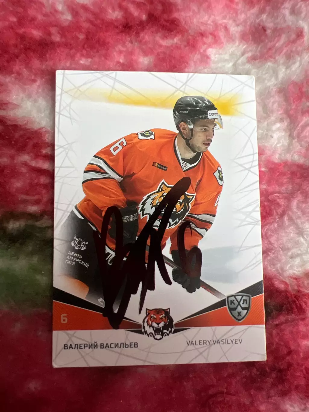 Валерий Васильев Амур КХЛ