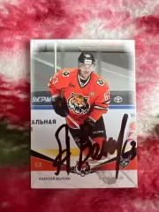 Алексей Волгин Амур КХЛ