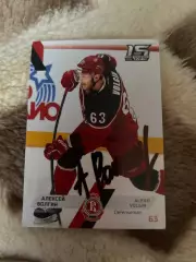 Алексей Волгин Витязь КХЛ