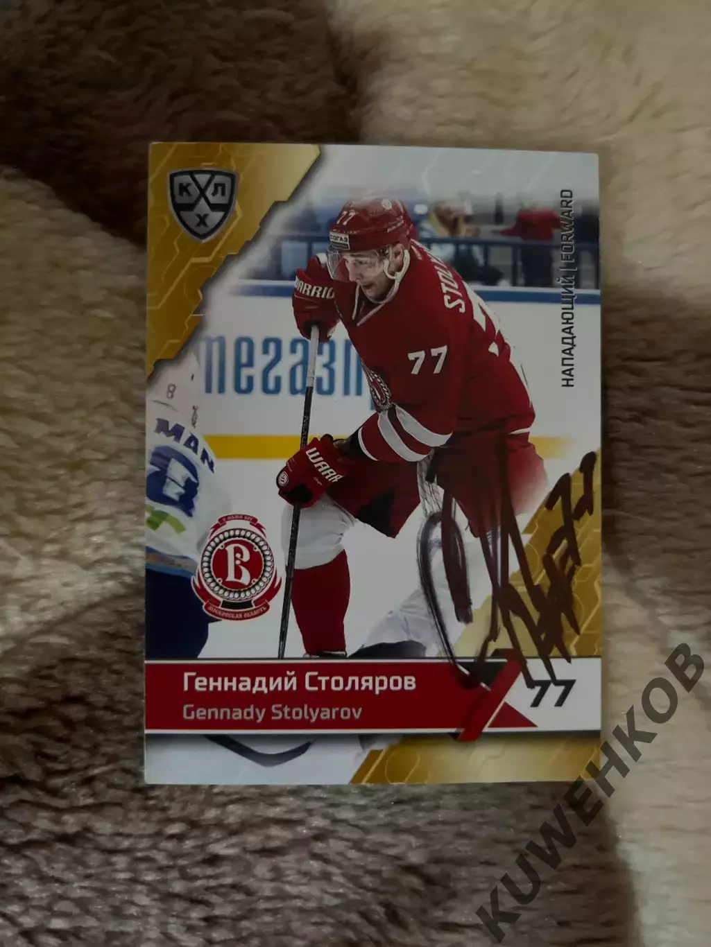 Геннадий Столяров Витязь КХЛ