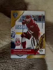 Геннадий Столяров Витязь КХЛ