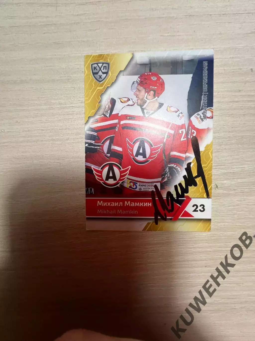 Михаил Мамкин Автомобилист КХЛ