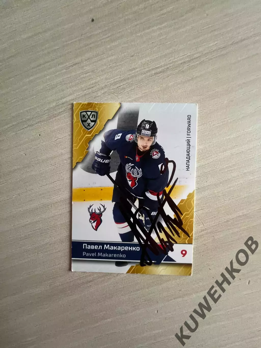 Павел Макаренко Торпедо КХЛ