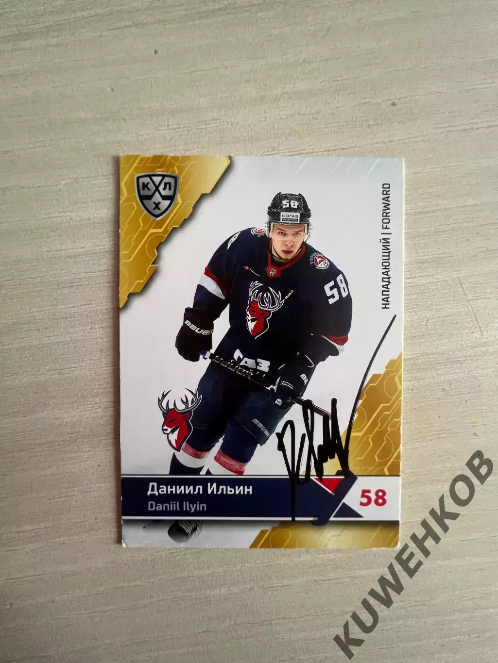 Даниил Ильин Торпедо КХЛ
