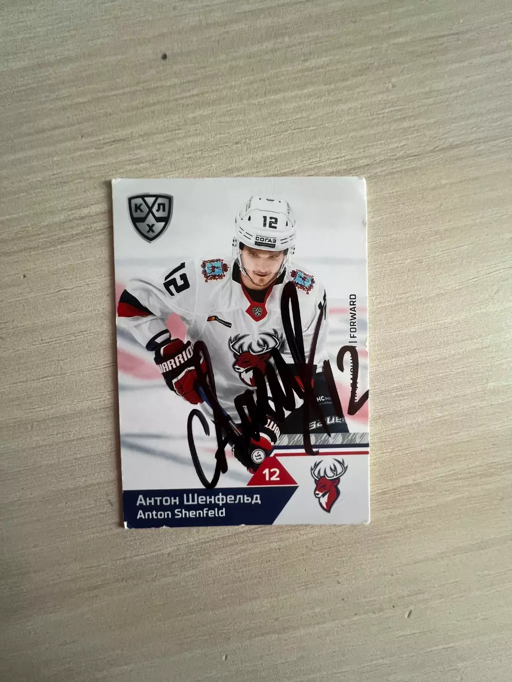 Антон Шенфельд Торпедо КХЛ