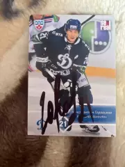 Константин Горовиков Динамо Москва КХЛ