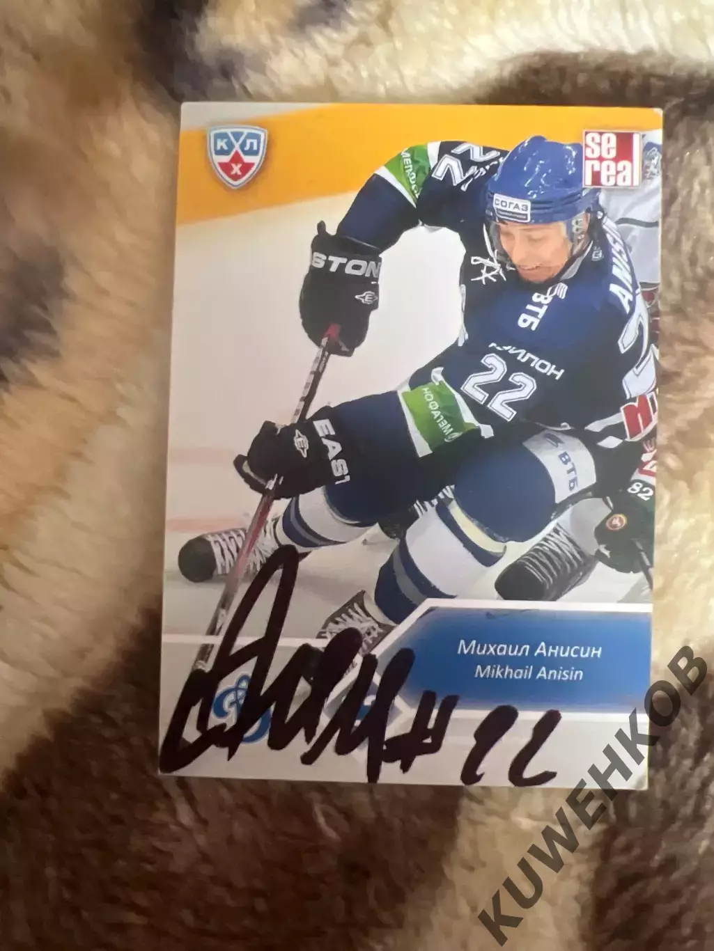 Михаил Анисин Динамо Москва КХЛ