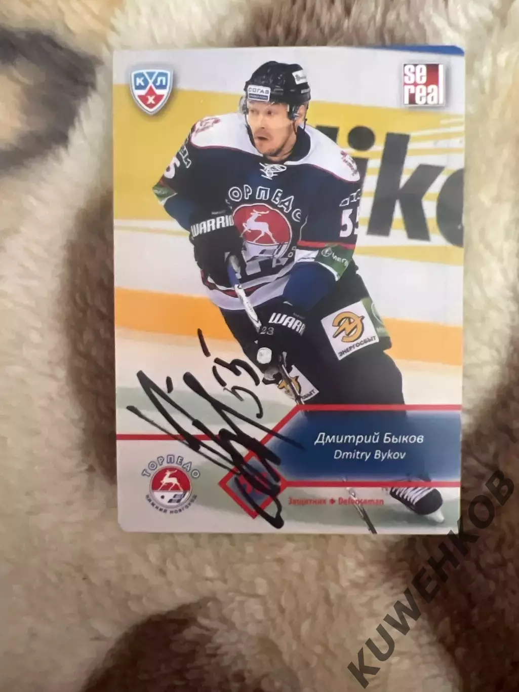 Дмитрий Быков торпедо КХЛ