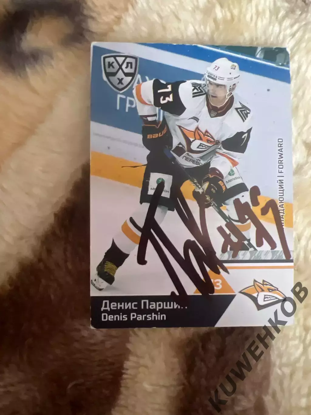 Денис Паршин Металлург