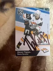 Денис Паршин Металлург