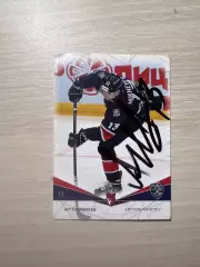 Артем Михеев КХЛ Торпедо