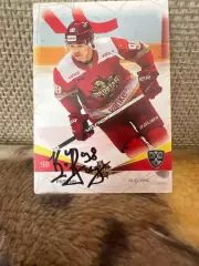 Руди Ин кунь лунь КХЛ