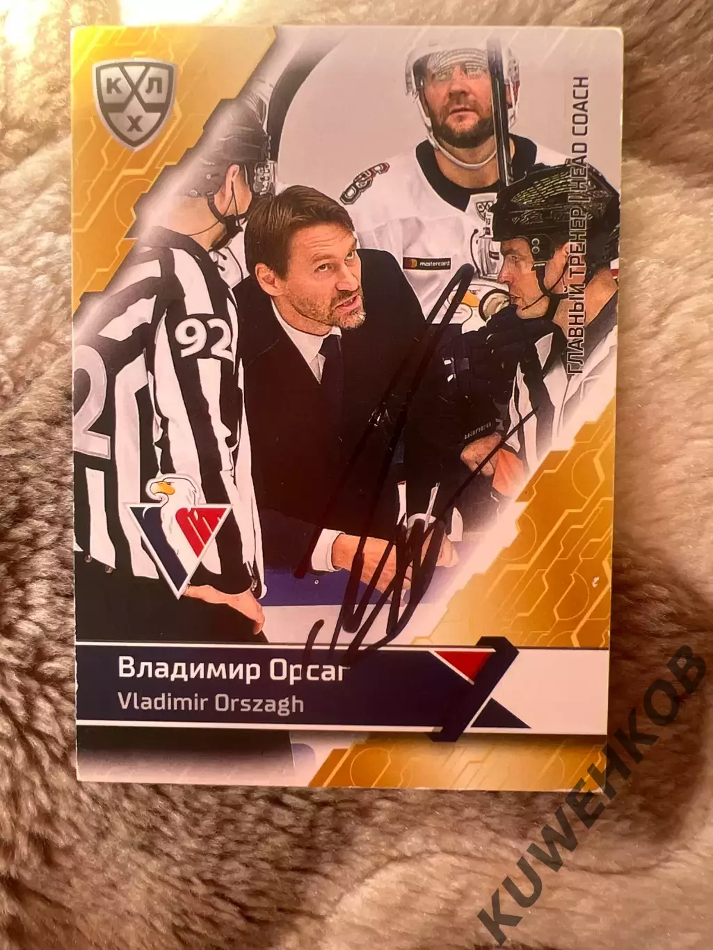 Владимир Орсаг Слован КХЛ