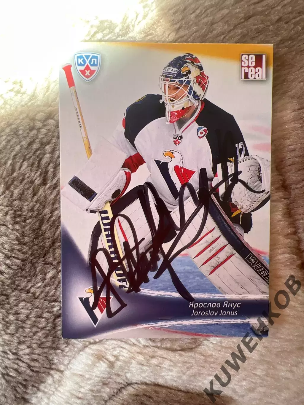 Ярослав Янус Слован КХЛ