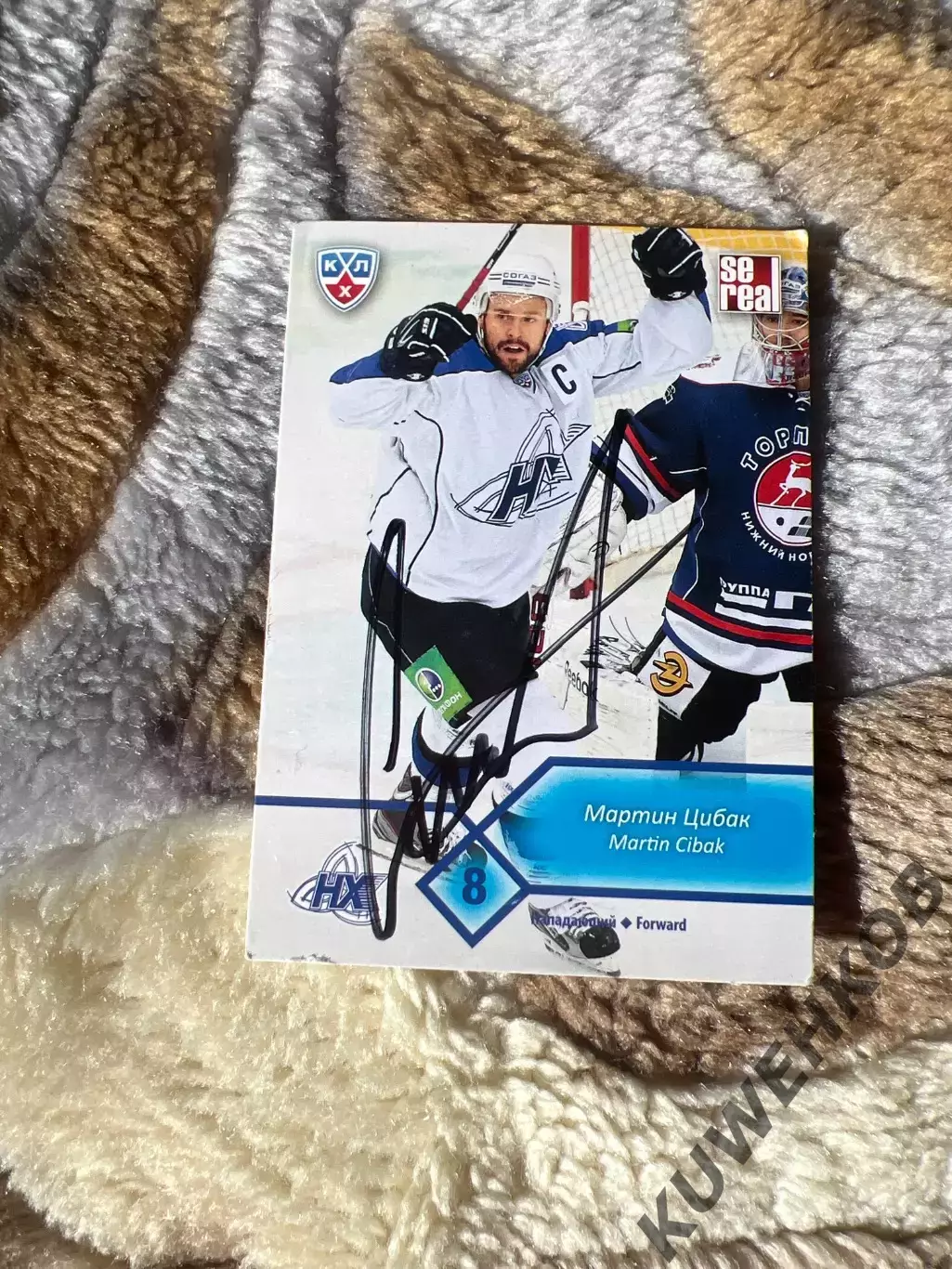 Мартин Цибак Нефтехимик КХЛ