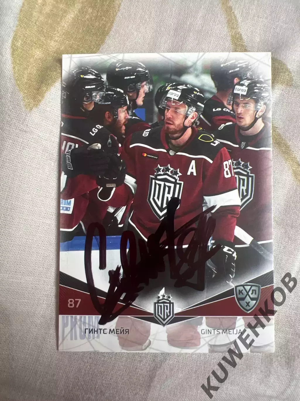 Гинтс Мейя Рига КХЛ 21/22
