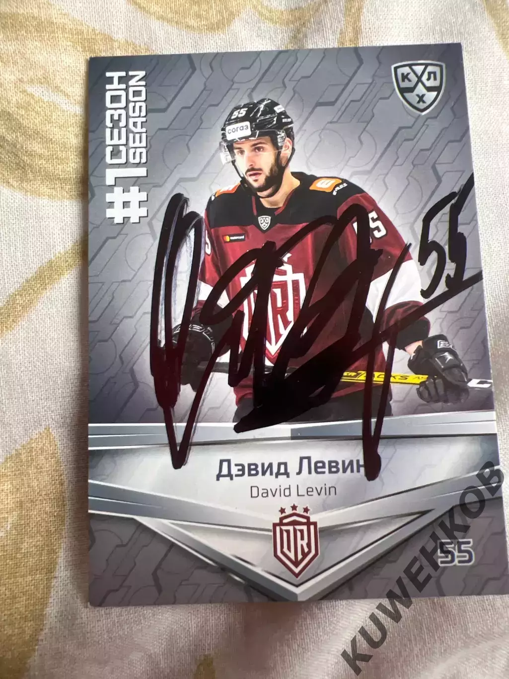 Дэвид Левин Рига КХЛ первый сезон